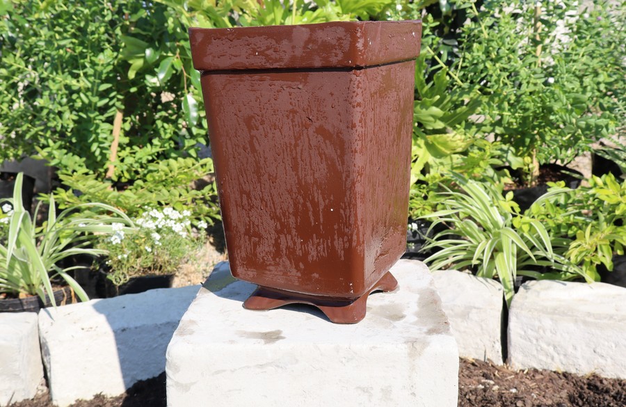 Tall Bonsai Pot