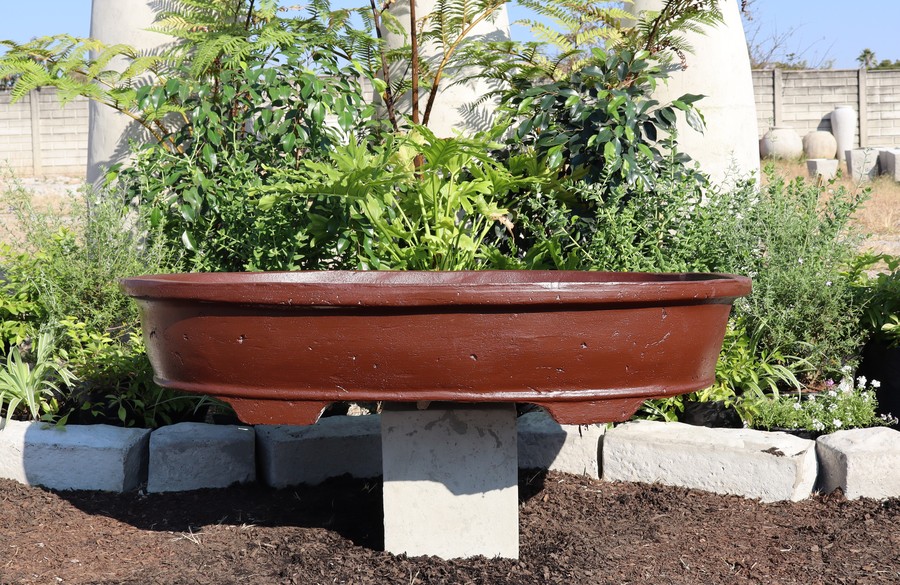 Wide Oval Bowl
