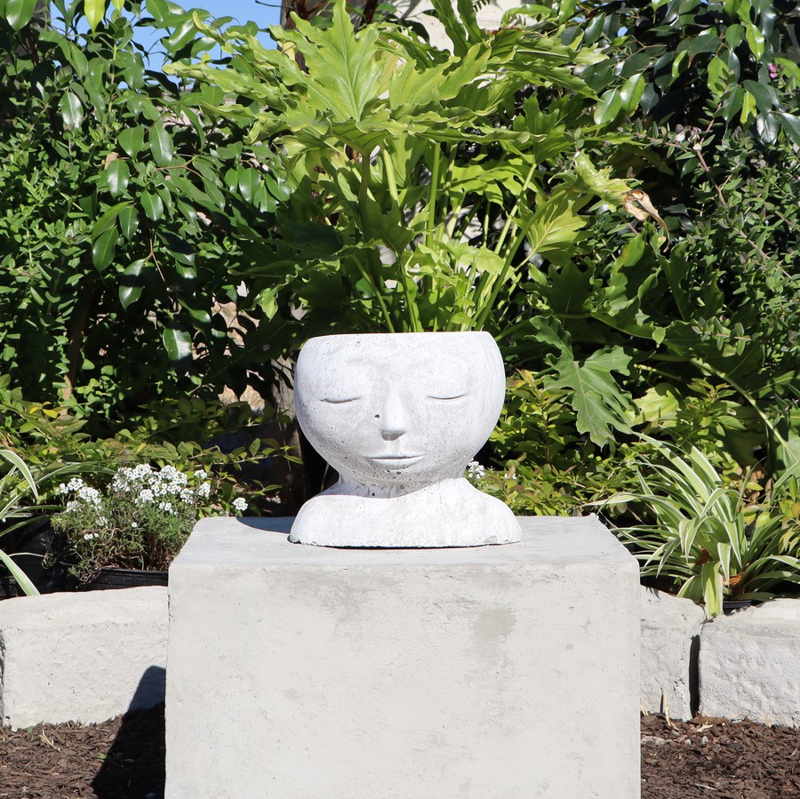 Serene Face Planter