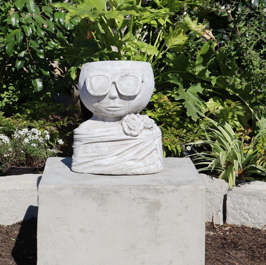 Sunglasses Face Planter