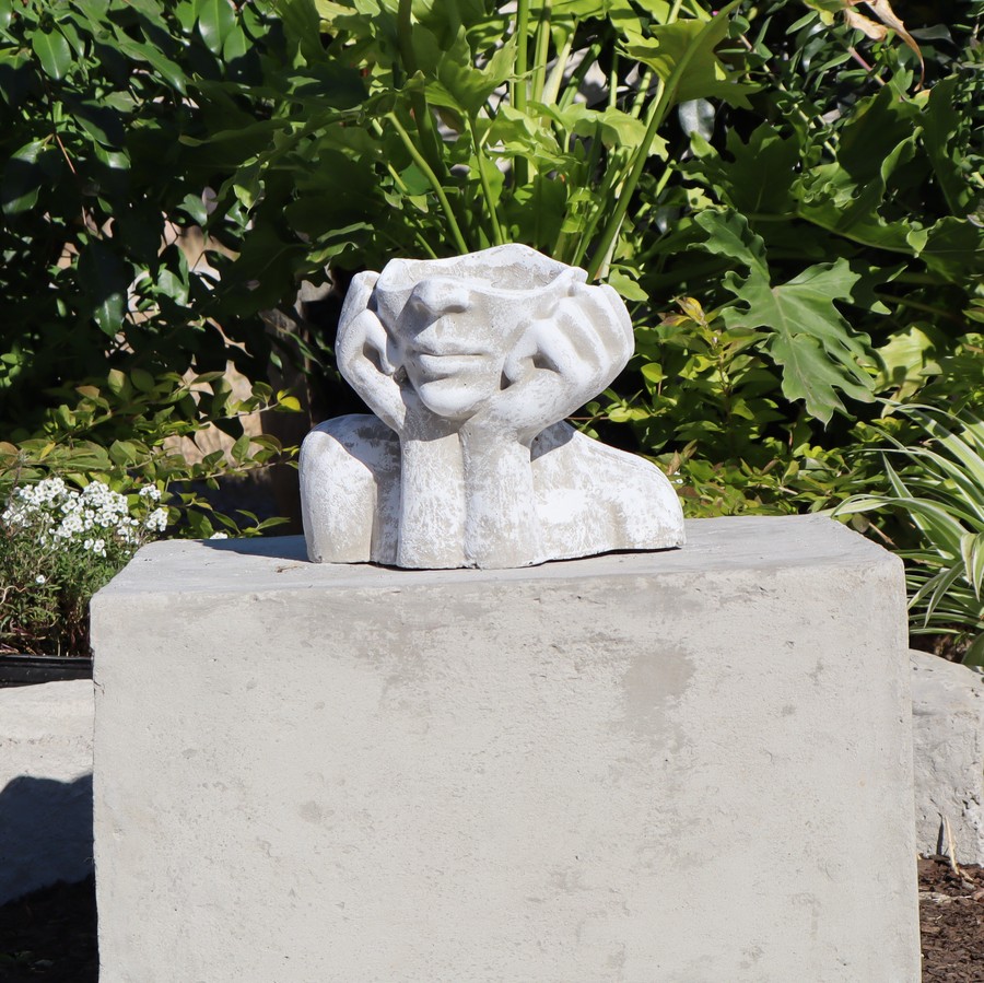 Hands to Face Planter